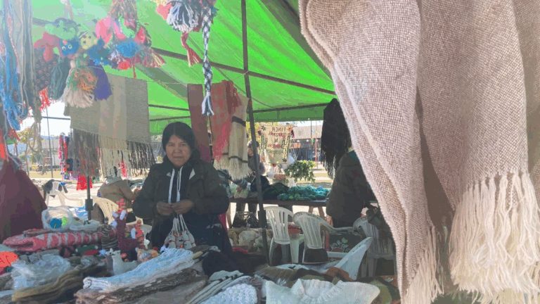 La Expo «Jujuy Emprende» ofrecerá las mejores propuestas para el Día de la Madre