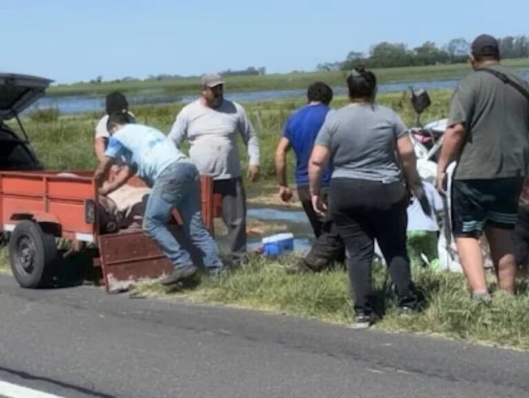 Un camión que transportaba cerdos volcó en la Ruta 7 y los vecinos se llevaron a los animales