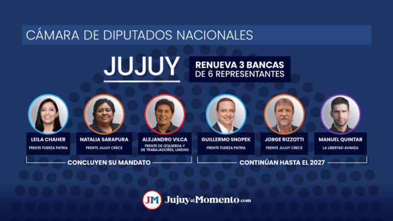 Jujuy elige diputados nacionales: a quiénes se les vence el mandato