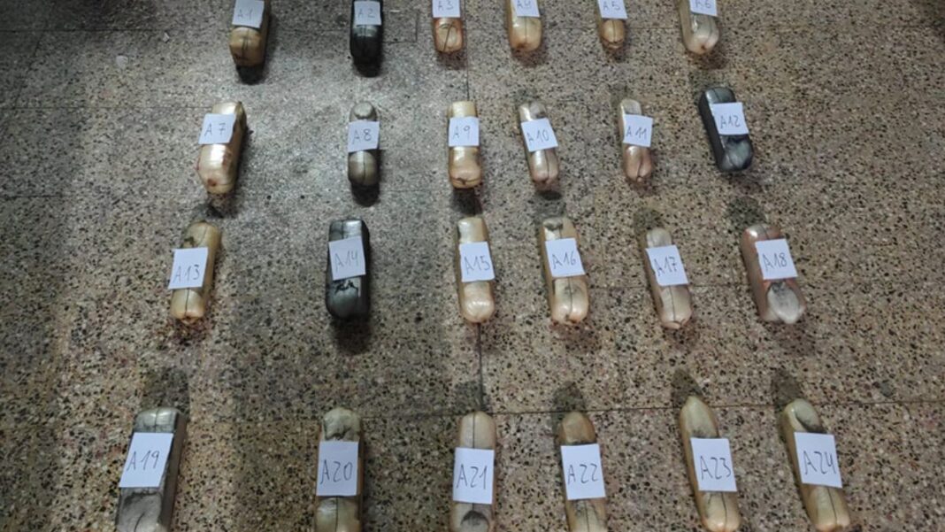 2324890-imputan-a-una-pareja-por-organizar-y-financiar-el-transporte-de-mas-de-48-kilos-de-cocaina