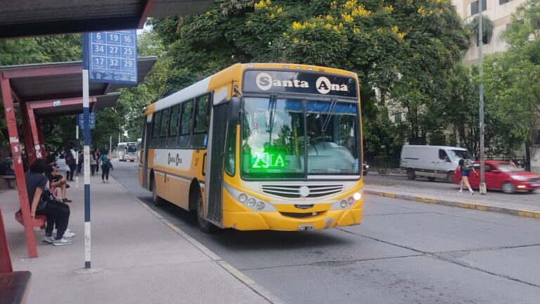 Pocas frecuencias y falta de recorridos, las quejas en medio de la licitación del transporte