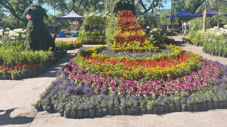 Tres días para disfrutar de «Jujuy Florece», la expo más esperada