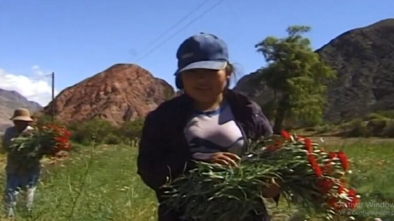 «Floristas»: Un Viaje sensorial por la Quebrada en «La Vida es Corta»