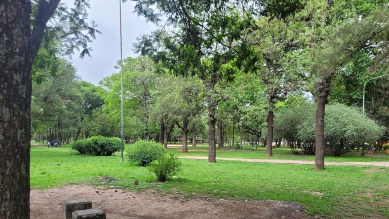 Malestar de vecinos del Parque San Martín por excesos durante el banderazo de las promos