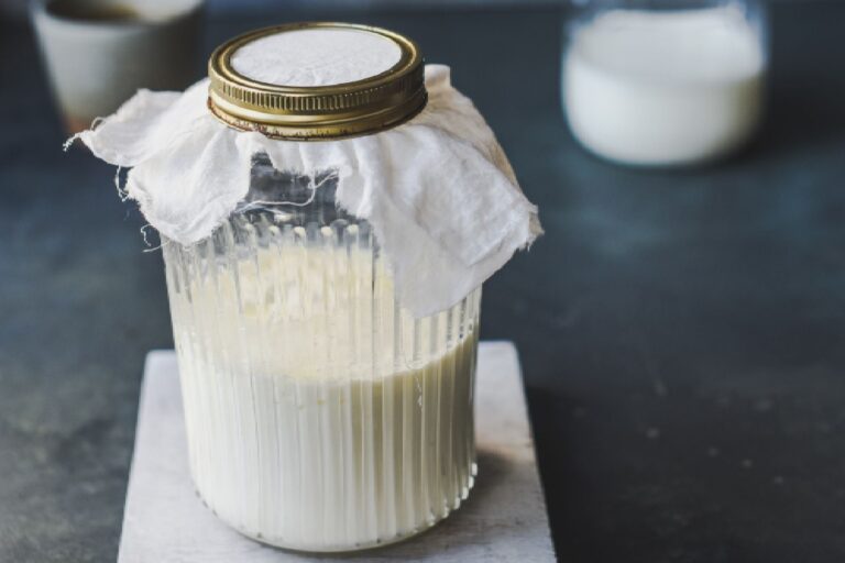 El efecto en los riñones de comer kéfir todos los días