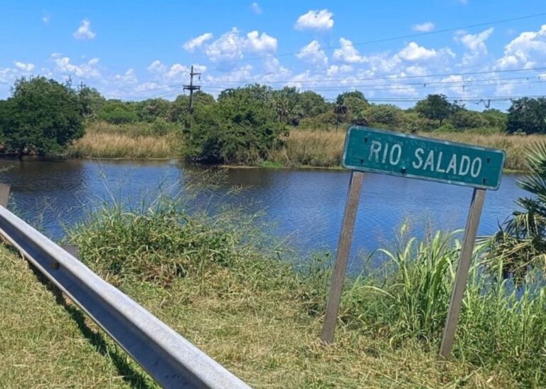 Desvío controlado del río Negro beneficia a la producción ganadera