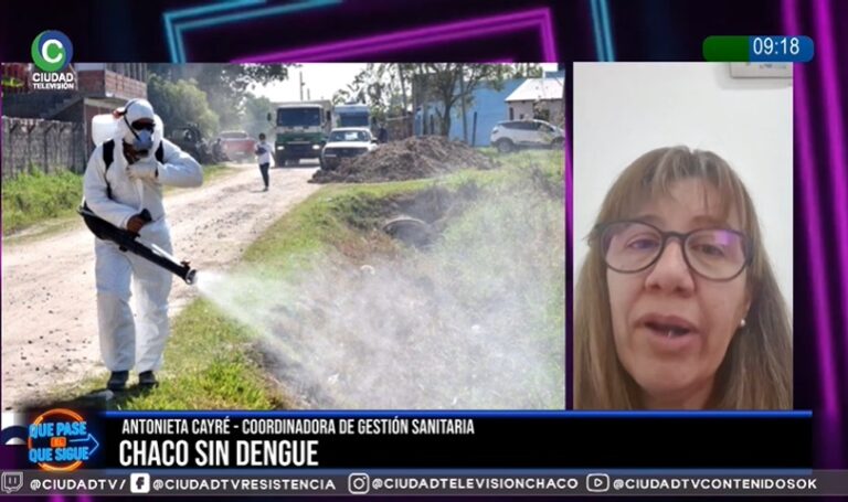 Hasta ahora no hay circulación local de dengue en el Chaco, aseguran desde Salud