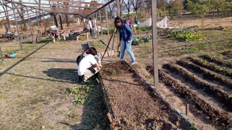 Grave denuncia en agrotécnicas de Jujuy: «Hace 33 años pedimos mejoras y no hay respuestas»