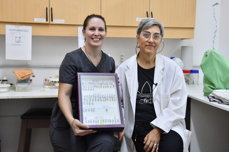 Investigación de la UNNE descubre una nueva especie de mosquito para la ciencia