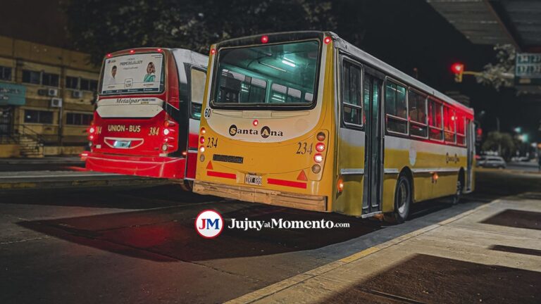 Colectivos más caros en la ciudad: este viernes aumenta el boleto