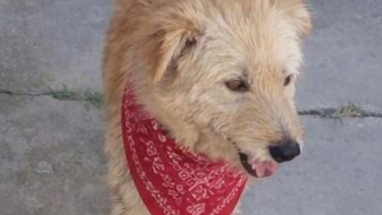 «Copito» sueña con una familia