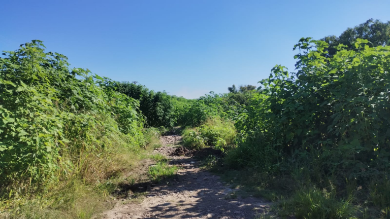 10 Hectáreas, un barrio que quedó aislado y abandonado en Palpalá