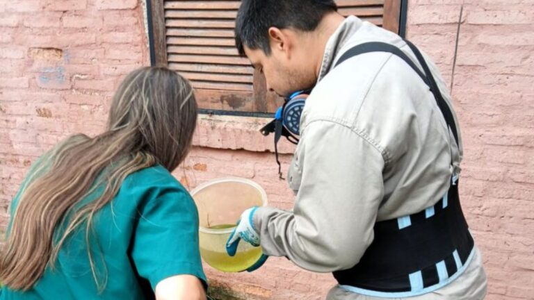 Cronograma de descacharrado para fortalecer la prevención del dengue y chikungunya