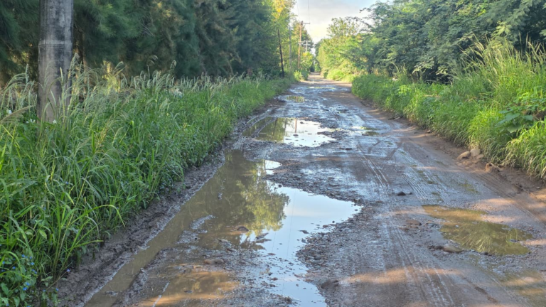 Ruta provincial N55, entre el olvido y el abandono
