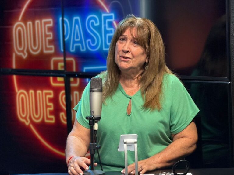 Subsecretaria Alicia Ogara durante una presentación sobre planificación urbana en el Chaco.