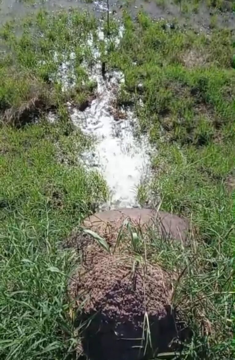 Trabajadores de SAMEEP realizando obras de reparación en una tubería de agua en la provincia del Chaco.
