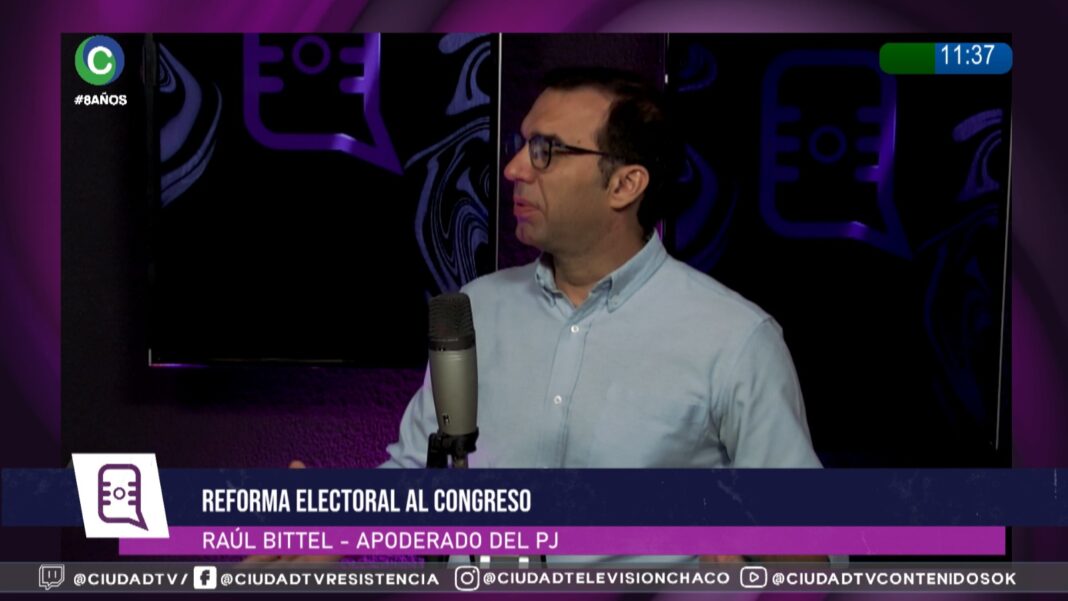 Raúl Bittel, dirigente político, durante una entrevista televisiva.