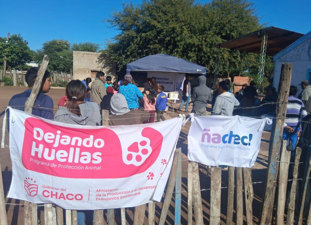 Atención veterinaria a mascotas en Castelli durante el programa Dejando Huellas