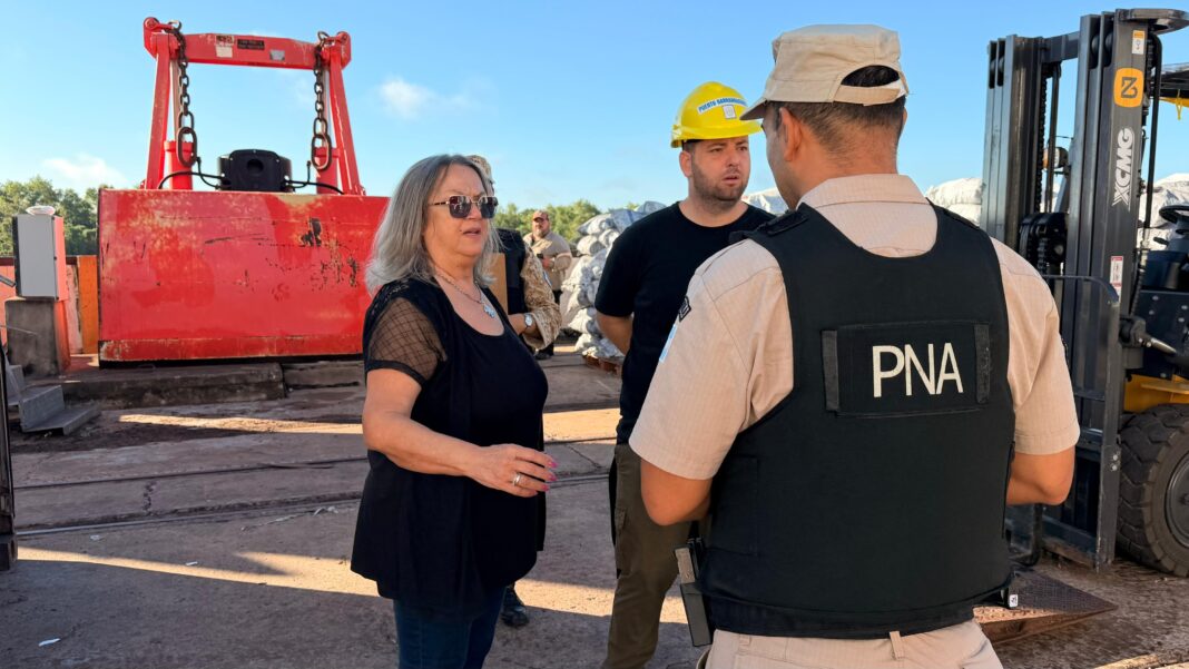 Vista aérea del Puerto de Barranqueras en la provincia del Chaco.