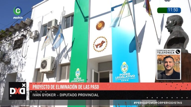 Sesión de la Legislatura chaqueña con diputados debatiendo
