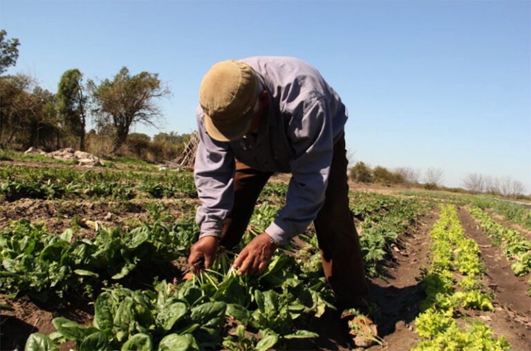 Trabajadores rurales en el campo