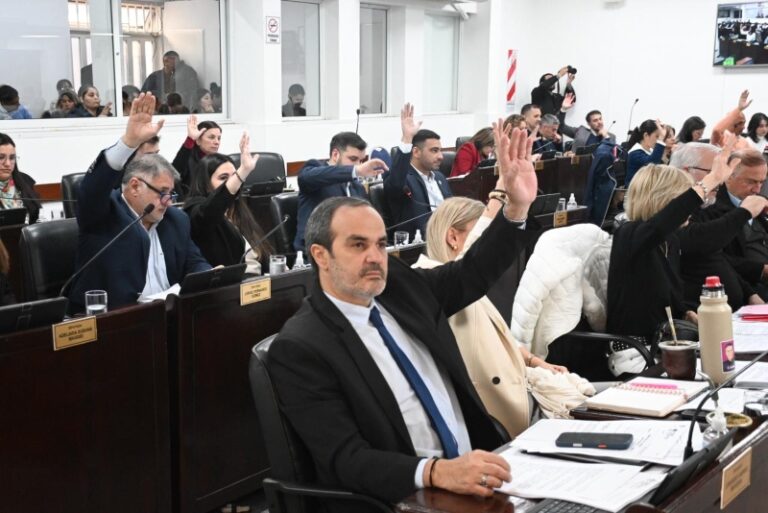 Sesión de la Legislatura chaqueña con diputados debatiendo en el recinto