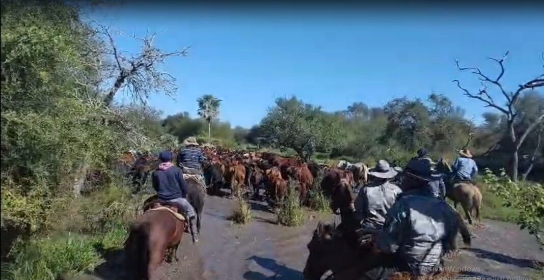Operativo de la Dirección de Seguridad Rural y Ambiental en la zona de La Sabana, Chaco