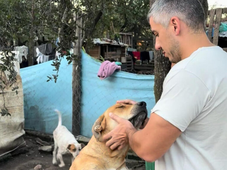 Diputado provincial Nicolás Slimel presenta proyecto para crear Instituto Provincial de Protección Animal en el Chaco