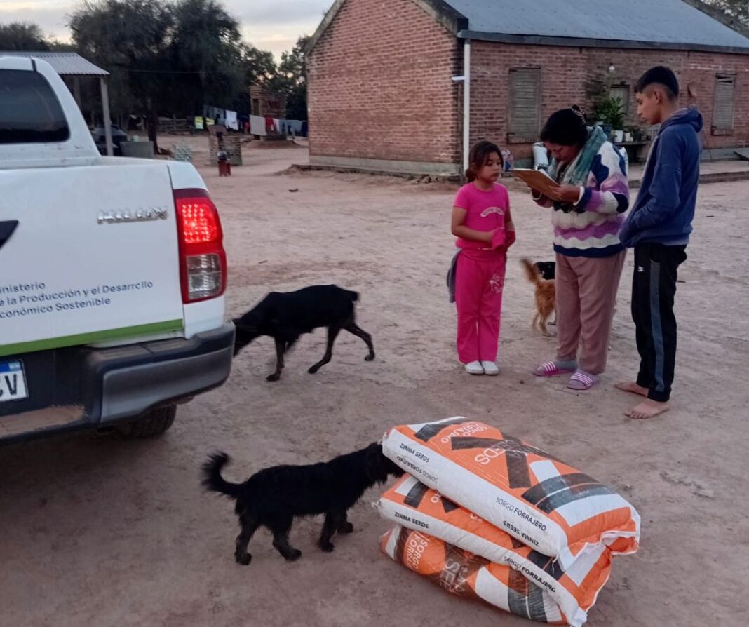 Operativo PROGANO en el norte chaqueño con entrega de forraje y asistencia veterinaria